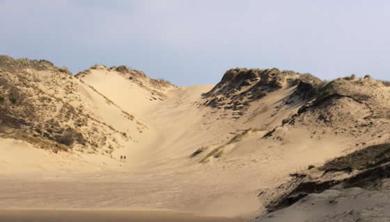 Merthyr Mawr Dunes