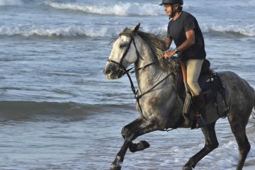 Horse Riding
